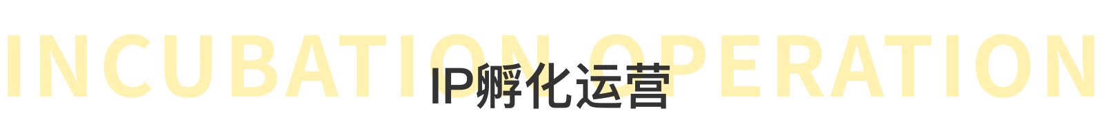 INCUBATION OPERATION IP 孵化运营